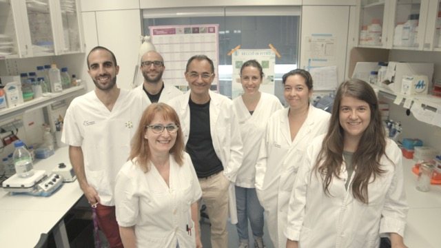 equipo-laboratorio-2